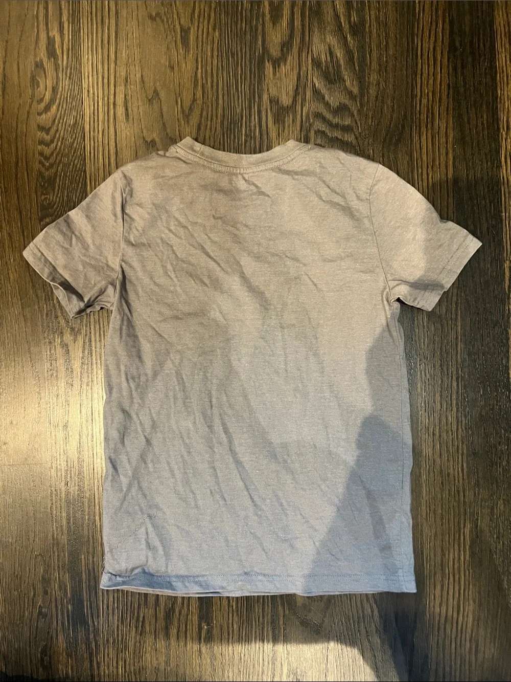 Kids Youth Boys Girls Gray Black Dinosaur Graphic Tee Short-Sleeved| M (8-10)